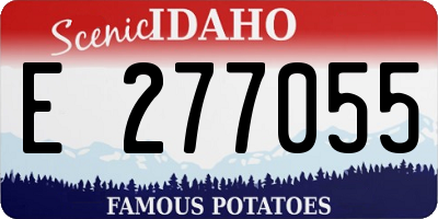 ID license plate E277055