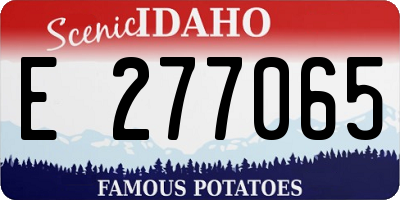 ID license plate E277065