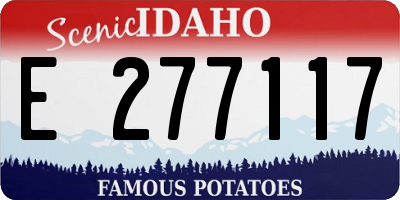 ID license plate E277117