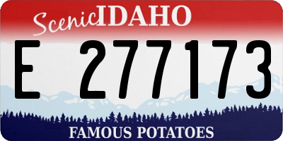 ID license plate E277173