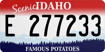 ID license plate E277233