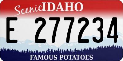 ID license plate E277234