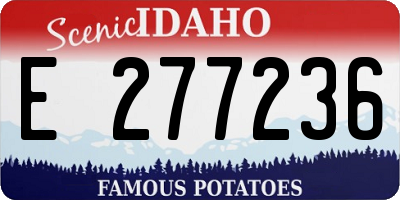 ID license plate E277236