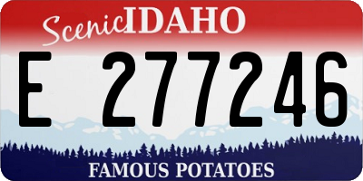 ID license plate E277246