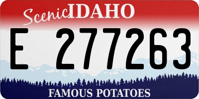 ID license plate E277263