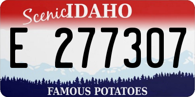 ID license plate E277307