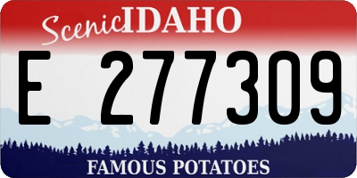ID license plate E277309