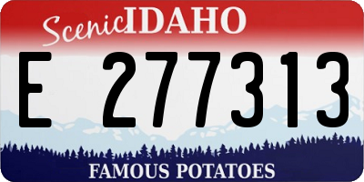 ID license plate E277313