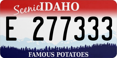 ID license plate E277333