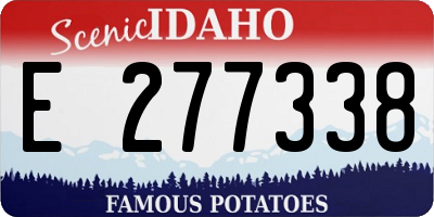 ID license plate E277338