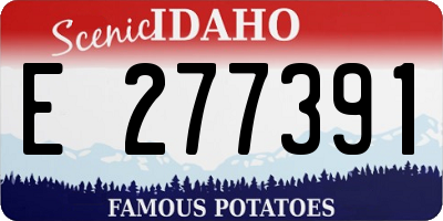 ID license plate E277391
