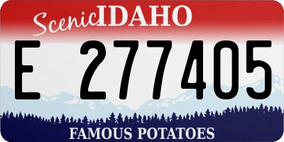ID license plate E277405