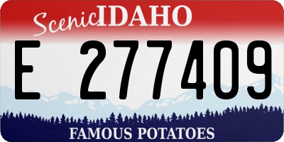 ID license plate E277409