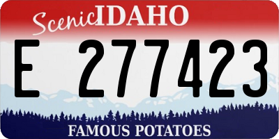 ID license plate E277423