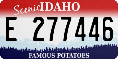 ID license plate E277446