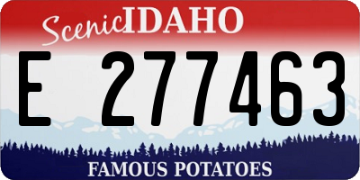 ID license plate E277463