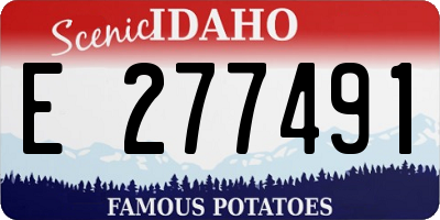 ID license plate E277491