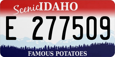 ID license plate E277509