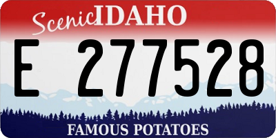 ID license plate E277528