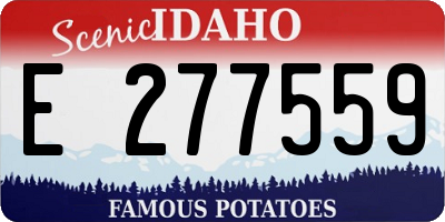 ID license plate E277559
