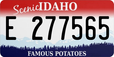 ID license plate E277565