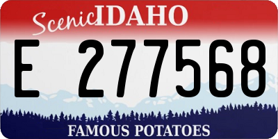 ID license plate E277568