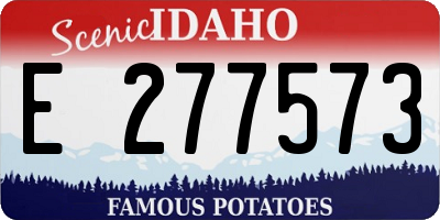 ID license plate E277573