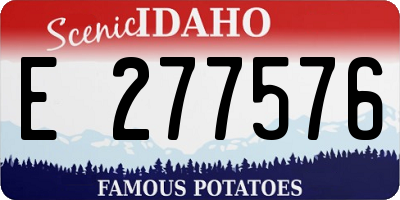 ID license plate E277576