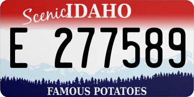 ID license plate E277589