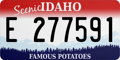 ID license plate E277591