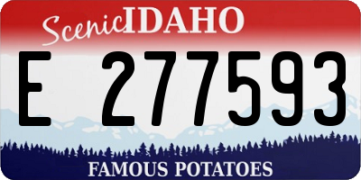 ID license plate E277593
