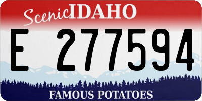 ID license plate E277594