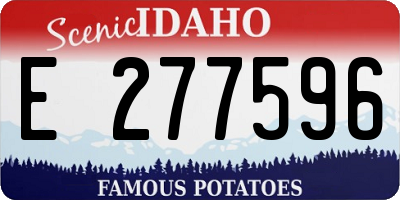 ID license plate E277596