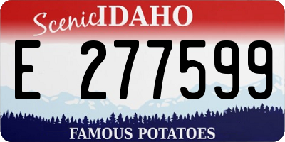 ID license plate E277599