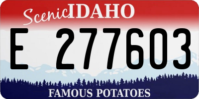 ID license plate E277603