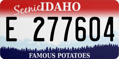 ID license plate E277604