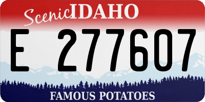 ID license plate E277607