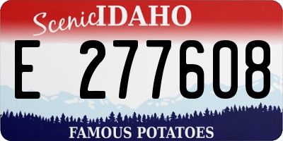 ID license plate E277608
