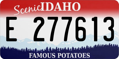 ID license plate E277613