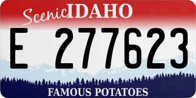 ID license plate E277623