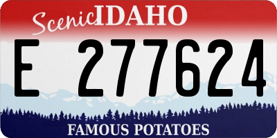ID license plate E277624