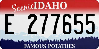 ID license plate E277655