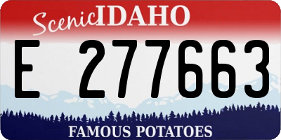 ID license plate E277663