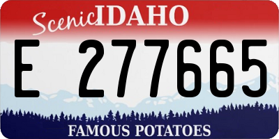 ID license plate E277665