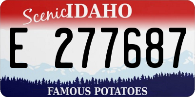 ID license plate E277687