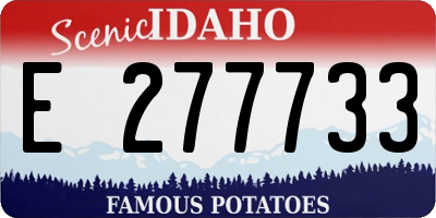 ID license plate E277733