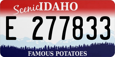 ID license plate E277833