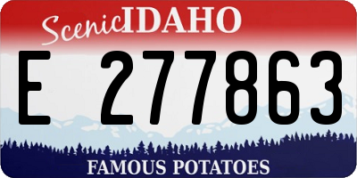 ID license plate E277863