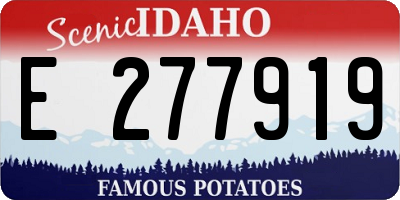 ID license plate E277919