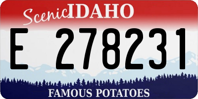 ID license plate E278231